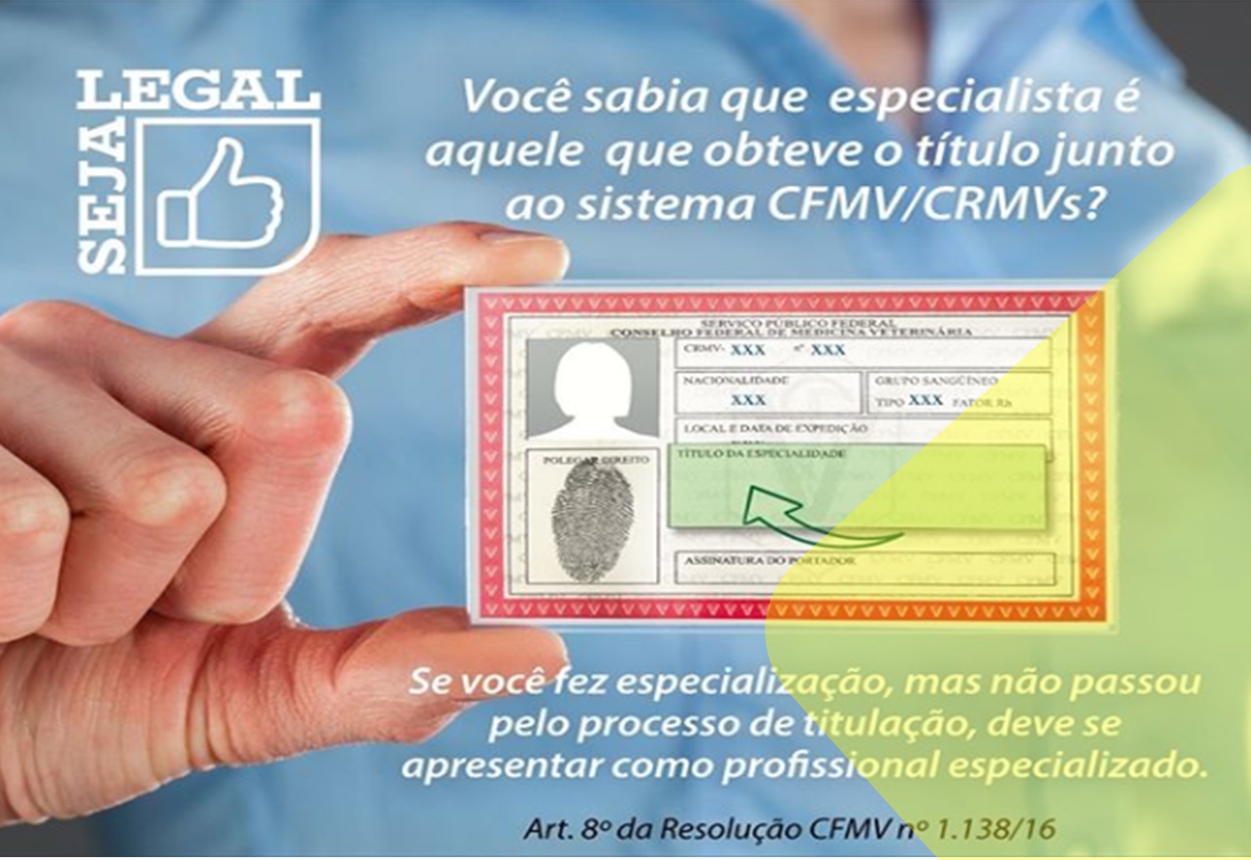 Seja um Especialista